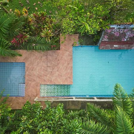 Iguanitas Lodge Pital  Exterior foto