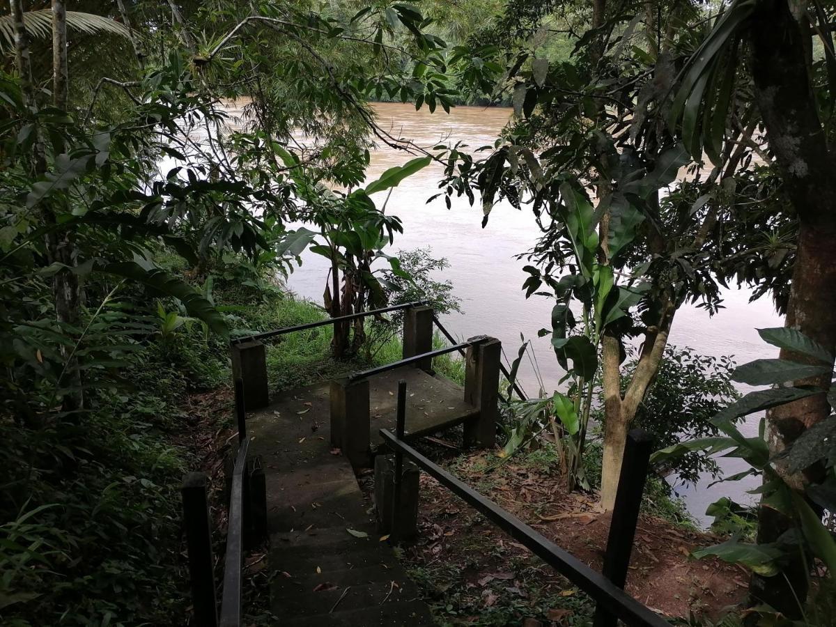 Iguanitas Lodge Pital  Exterior foto