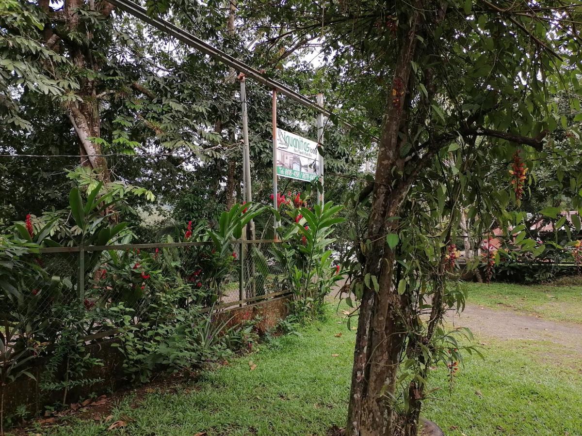 Iguanitas Lodge Pital  Exterior foto